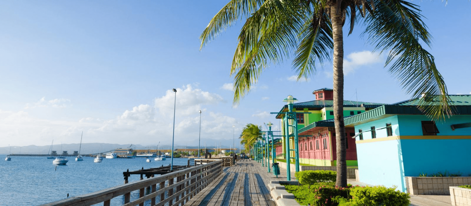 ponce-03